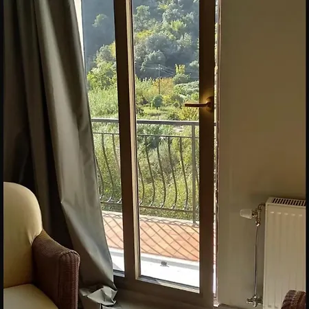 Torri Amori